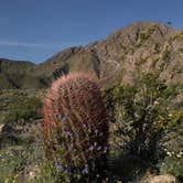 Review photo of Arroyo Tapiado Mud Caves — Anza-Borrego Desert State Park by Javier L., October 31, 2020