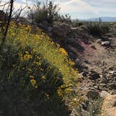 Review photo of Arroyo Tapiado Mud Caves — Anza-Borrego Desert State Park by Javier L., October 31, 2020