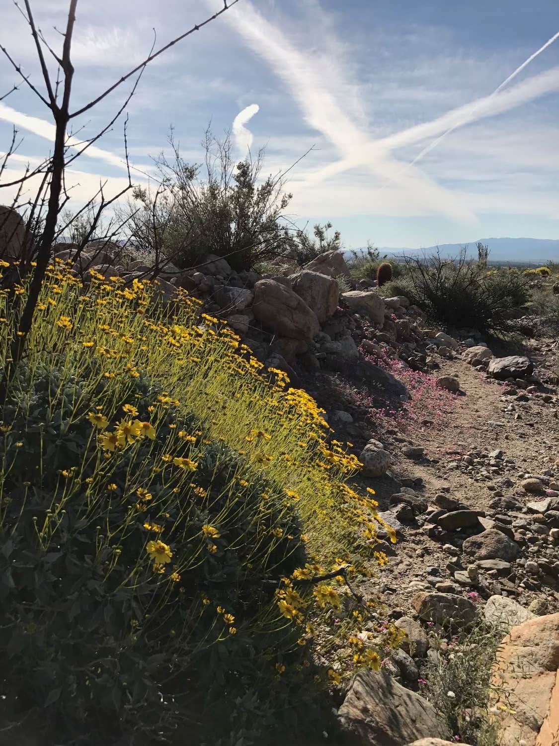 Camper submitted image from Arroyo Tapiado Mud Caves — Anza-Borrego Desert State Park - 3