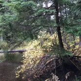 Review photo of Laird Park Campground by Megan K., October 11, 2020