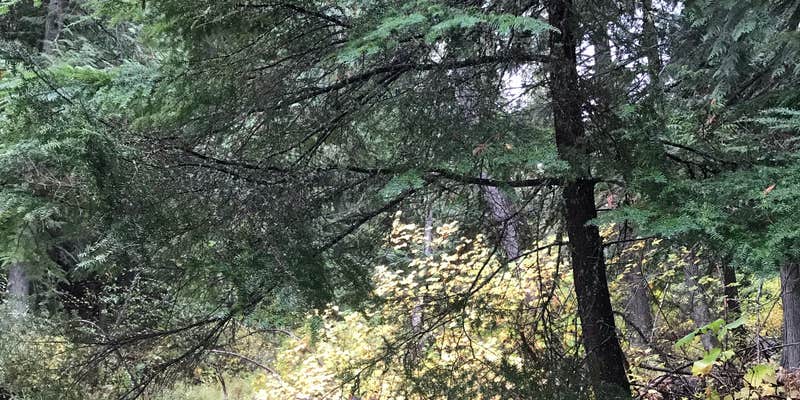 Camper submitted image from Laird Park Campground