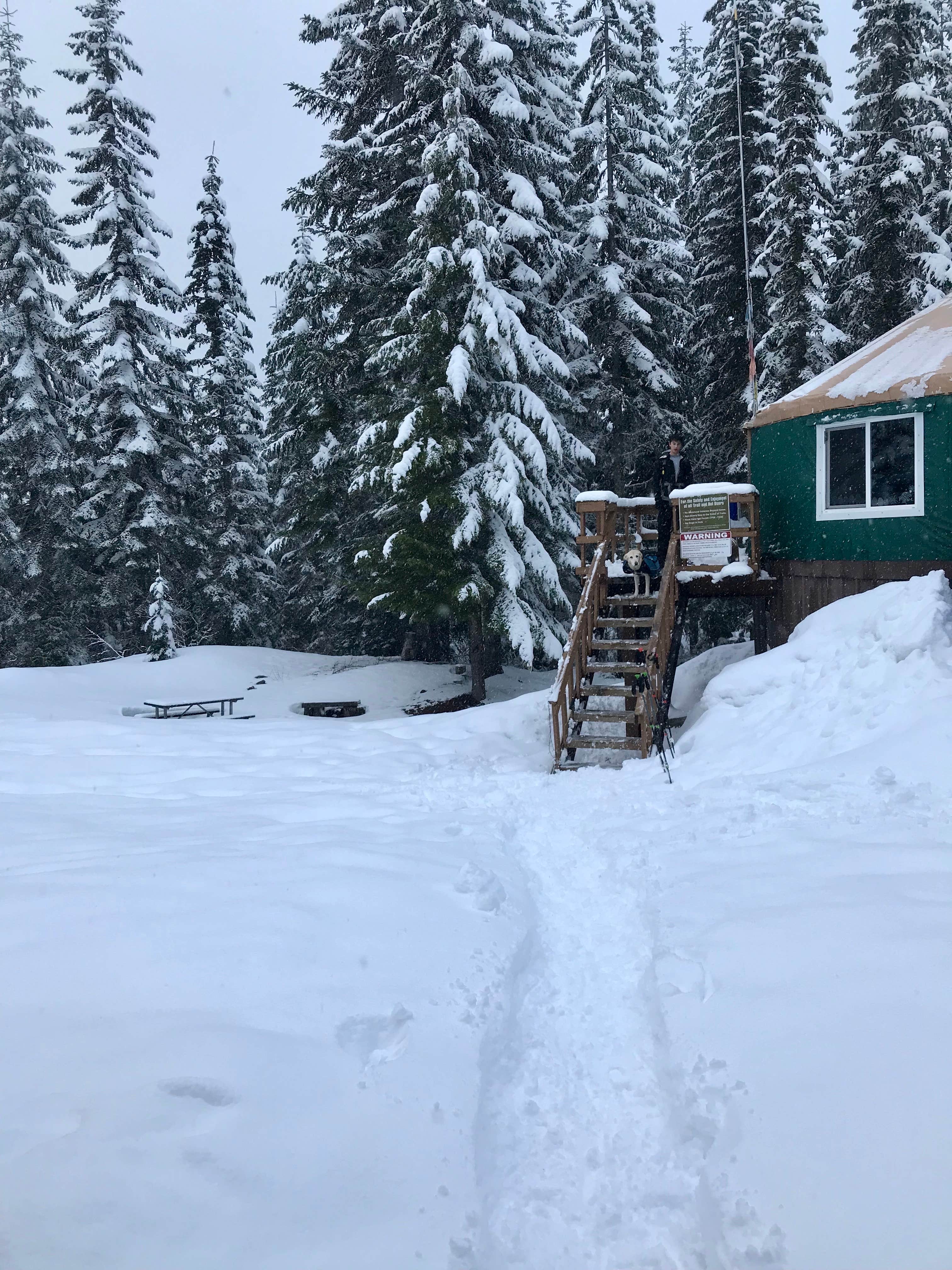 Camper-submitted photo at Yurt Snowshoe near Elbe, WA