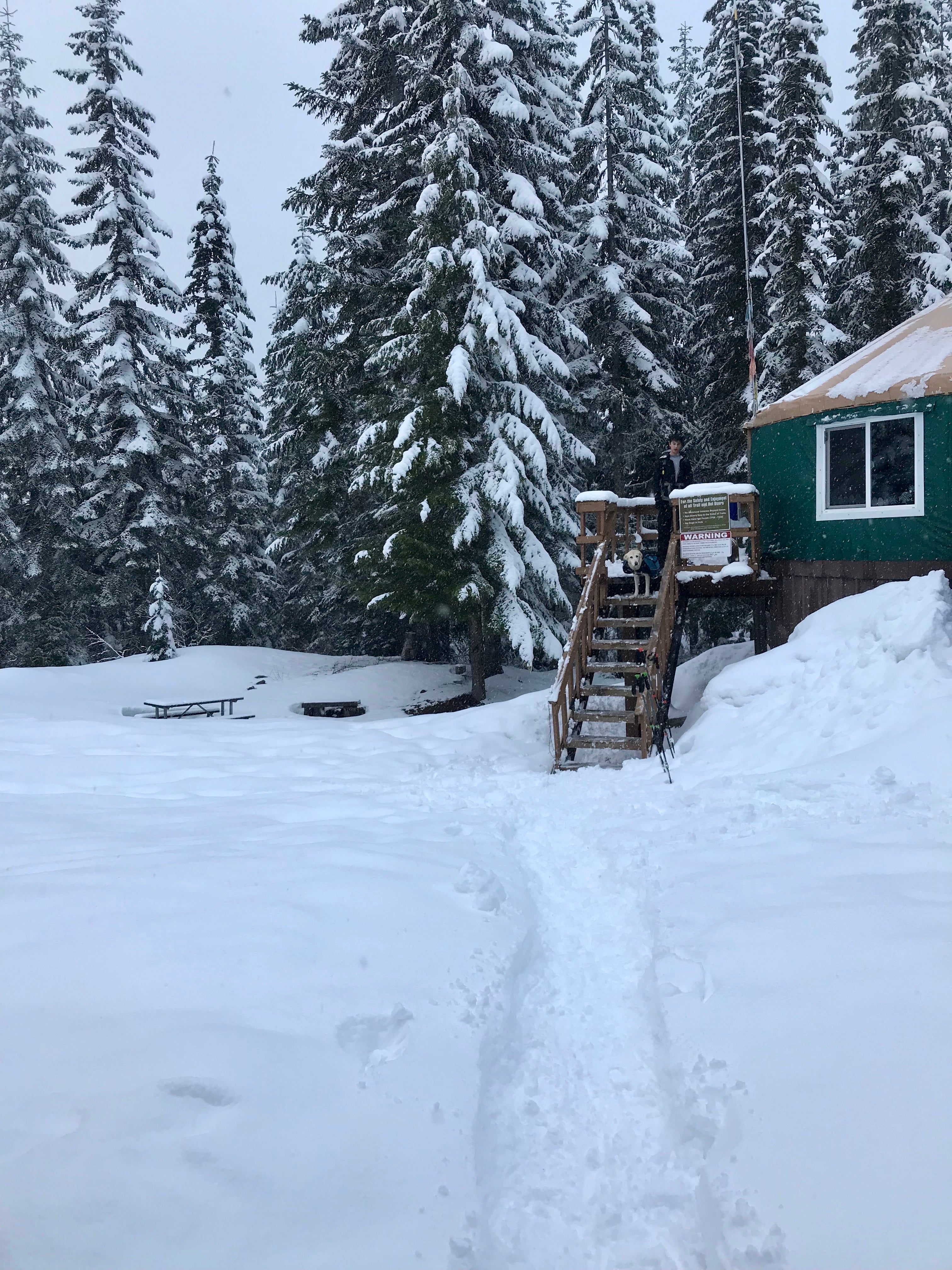 Camper submitted image from Yurt Snowshoe - 2
