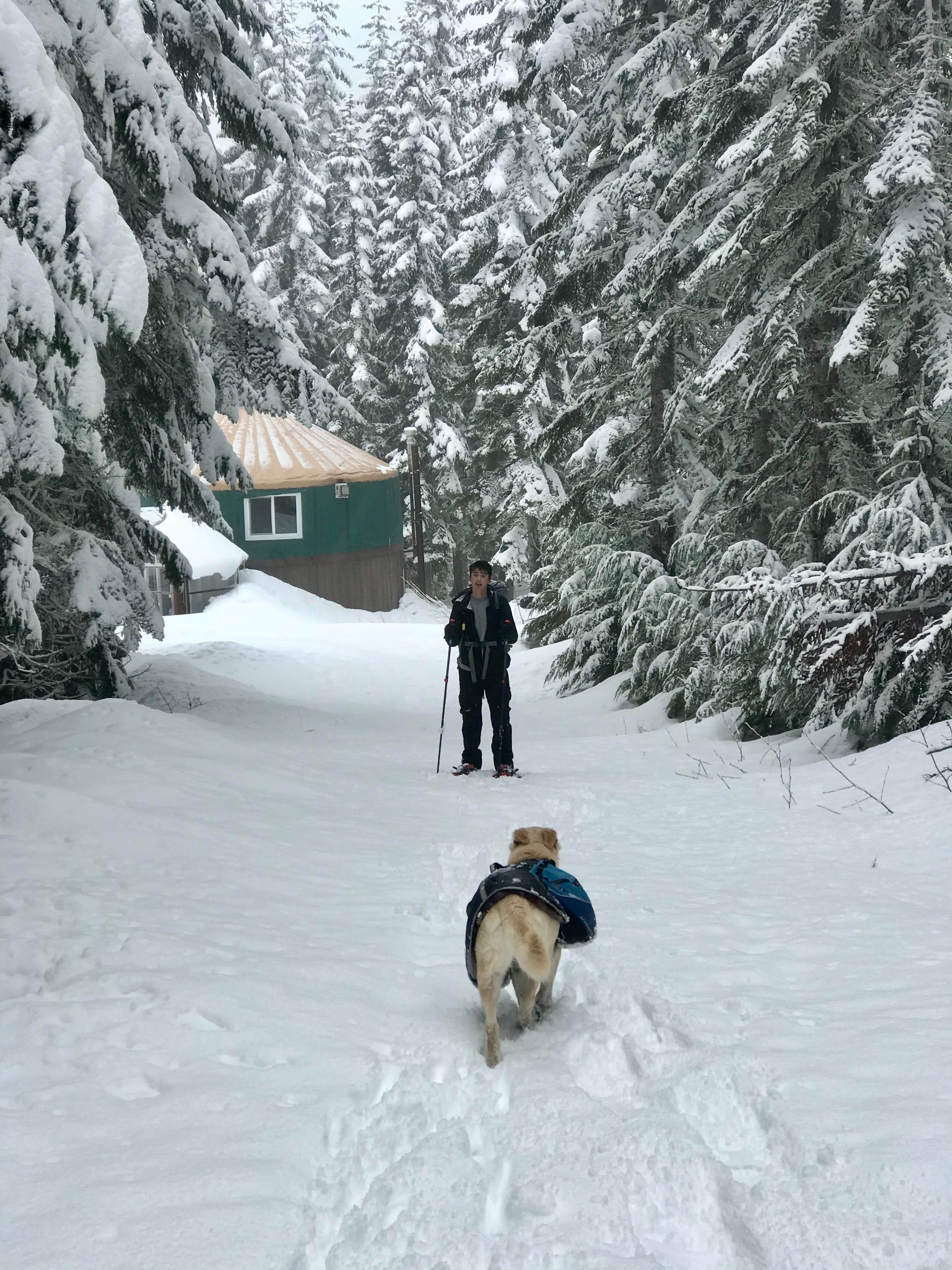 Camper submitted image from Yurt Snowshoe - 3