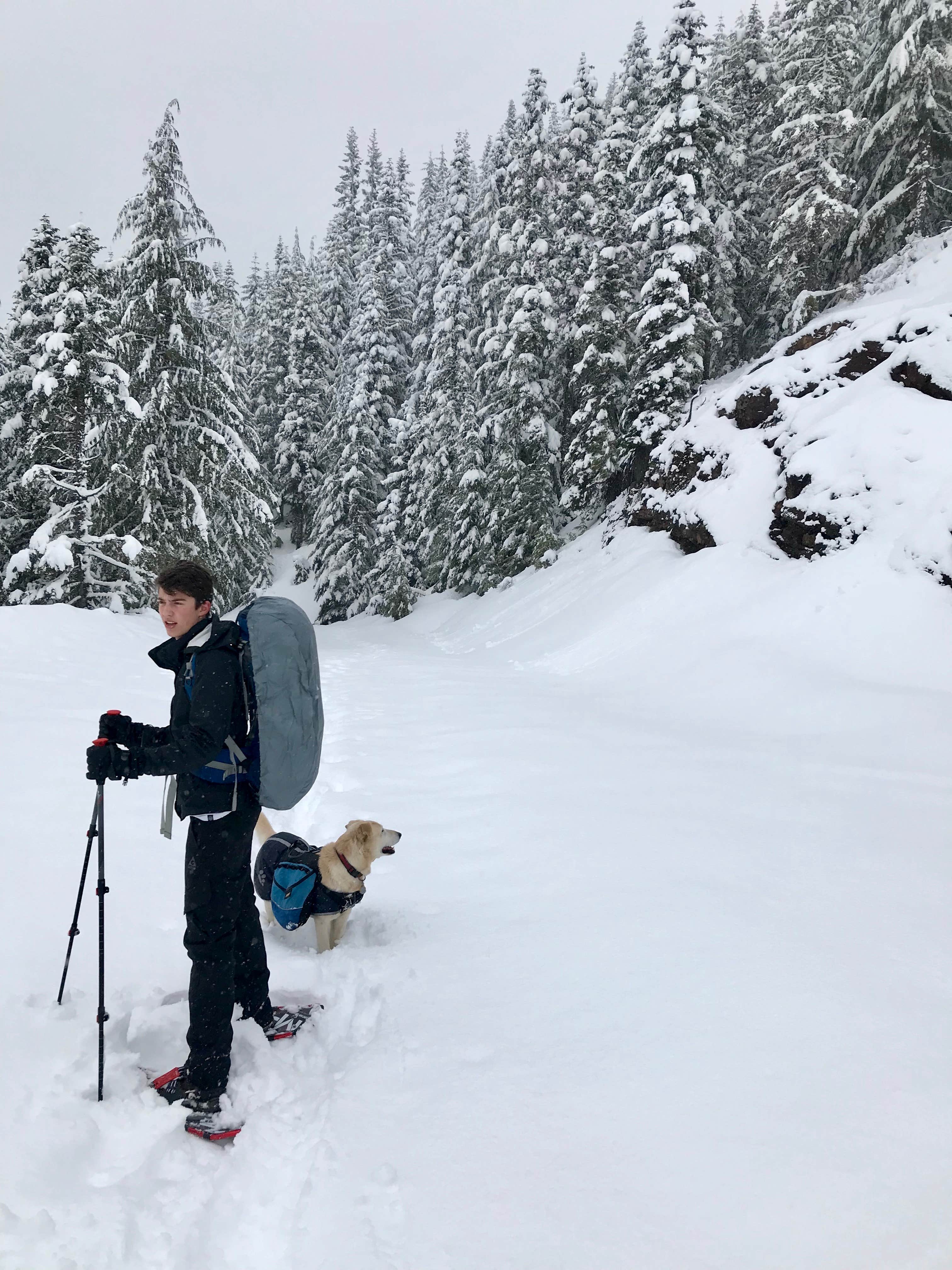 Camper-submitted photo at Yurt Snowshoe near Elbe, WA