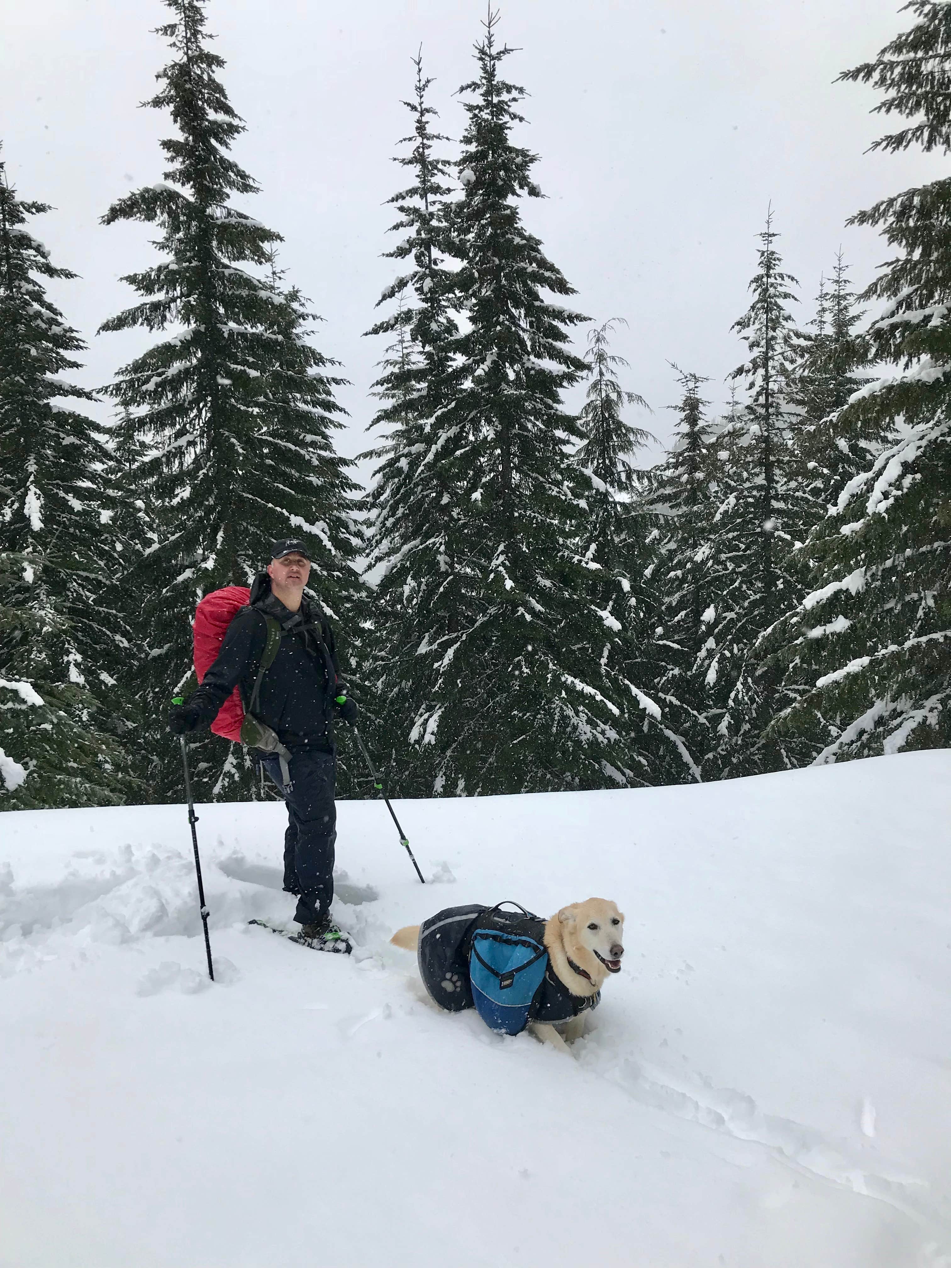Camper-submitted photo at Yurt Snowshoe near Elbe, WA