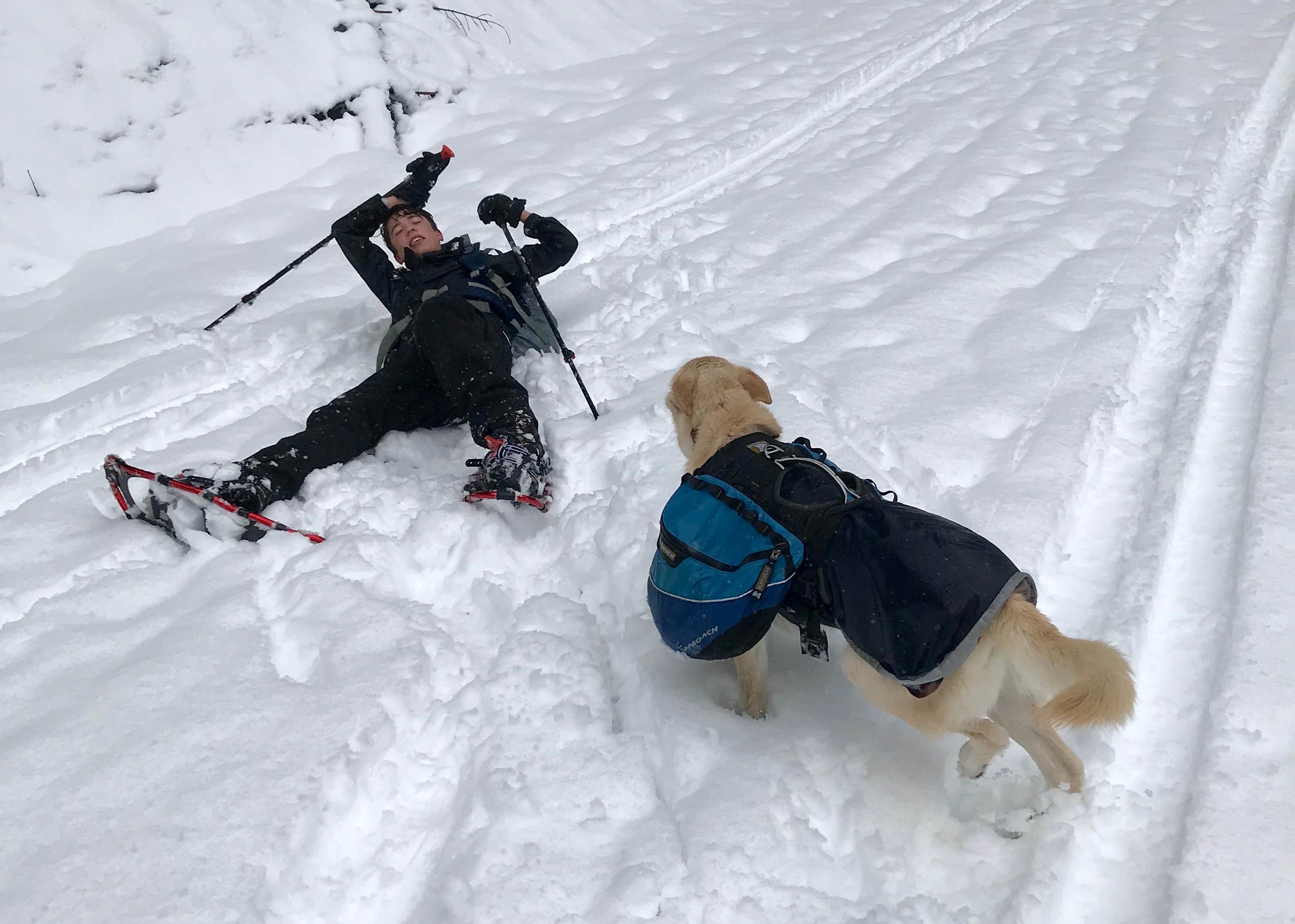Yurt Snowshoe Camping The Dyrt