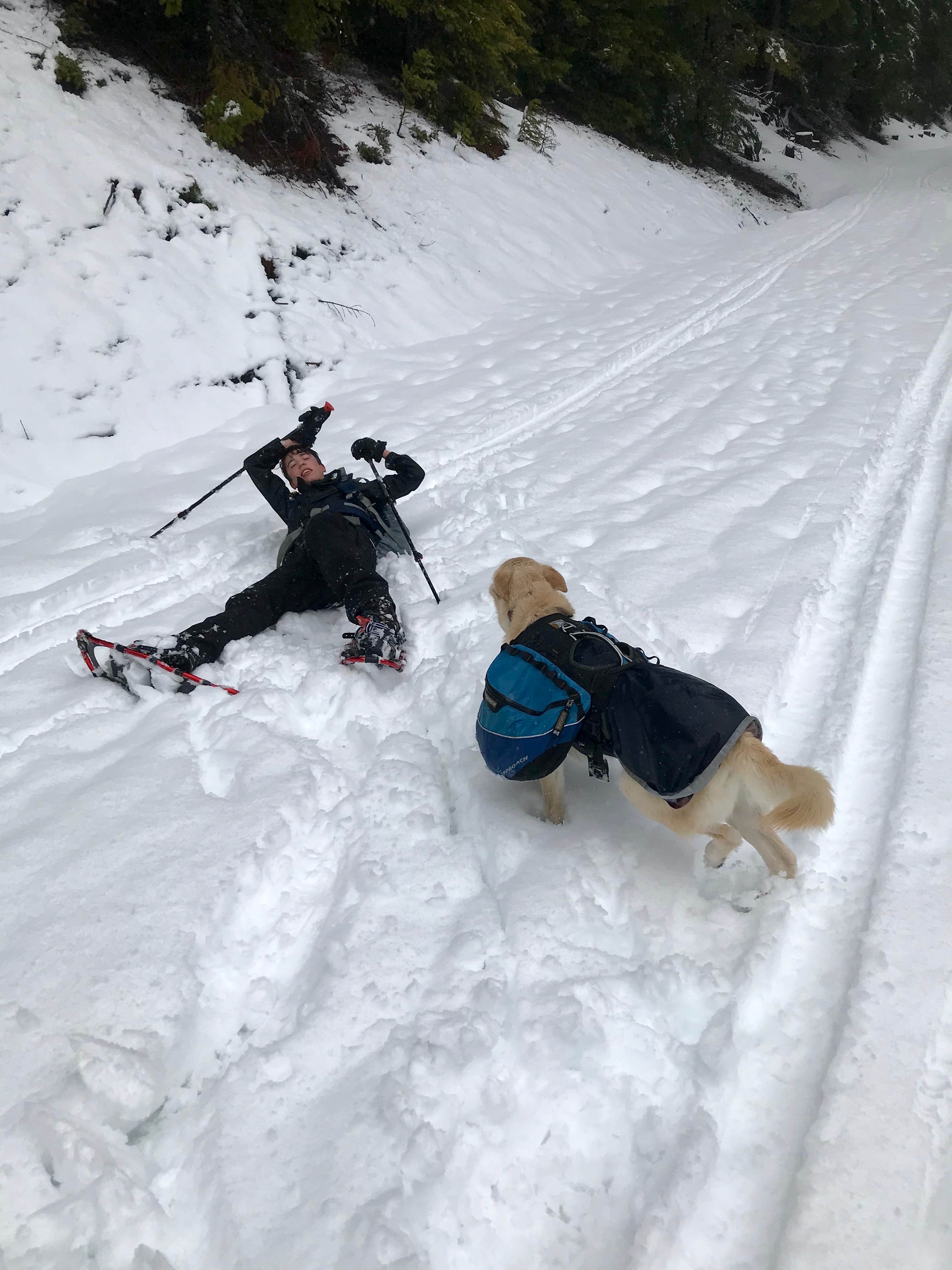 Camper submitted image from Yurt Snowshoe - 1