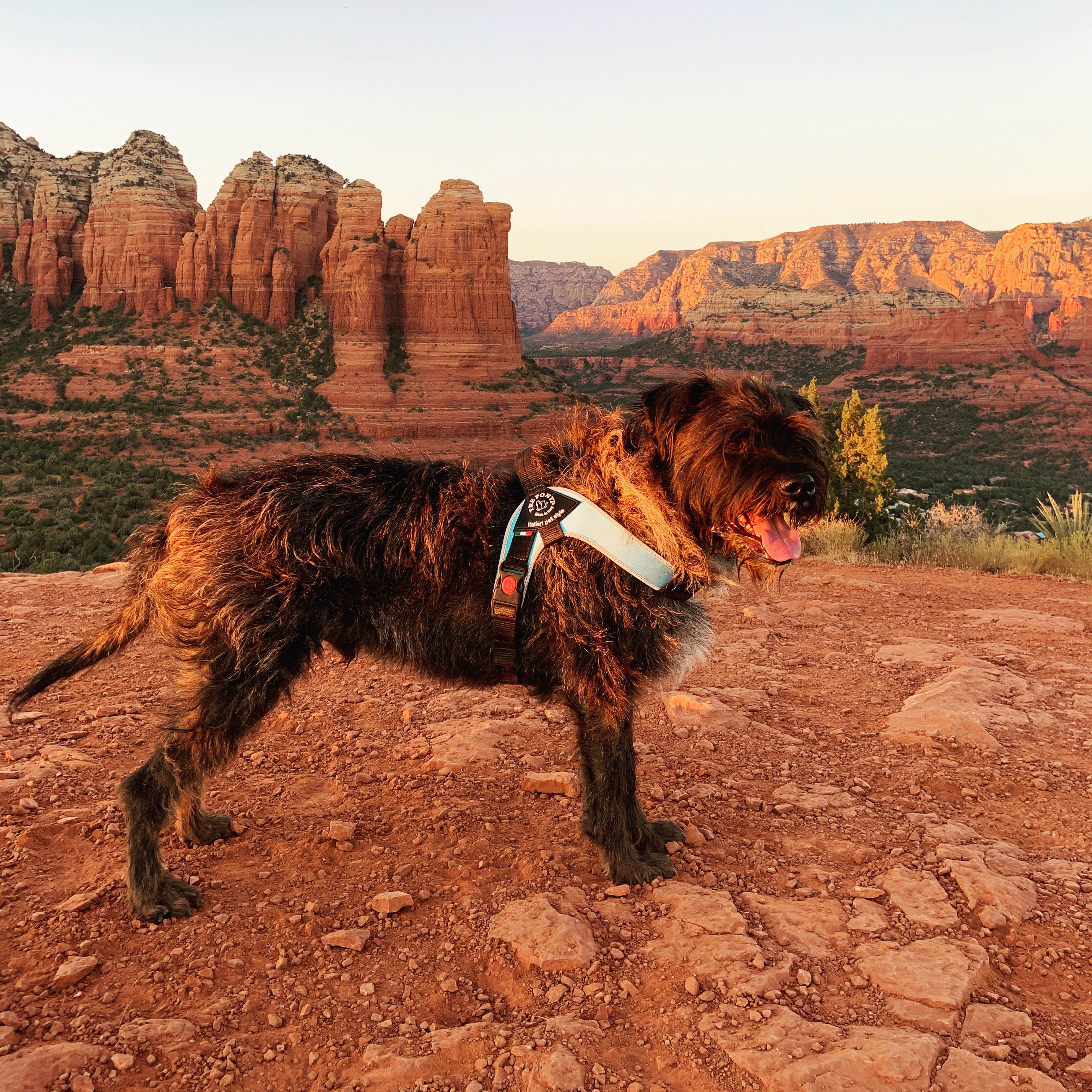 Camper-submitted photo at Distant Drums RV Resort near Sedona, AZ