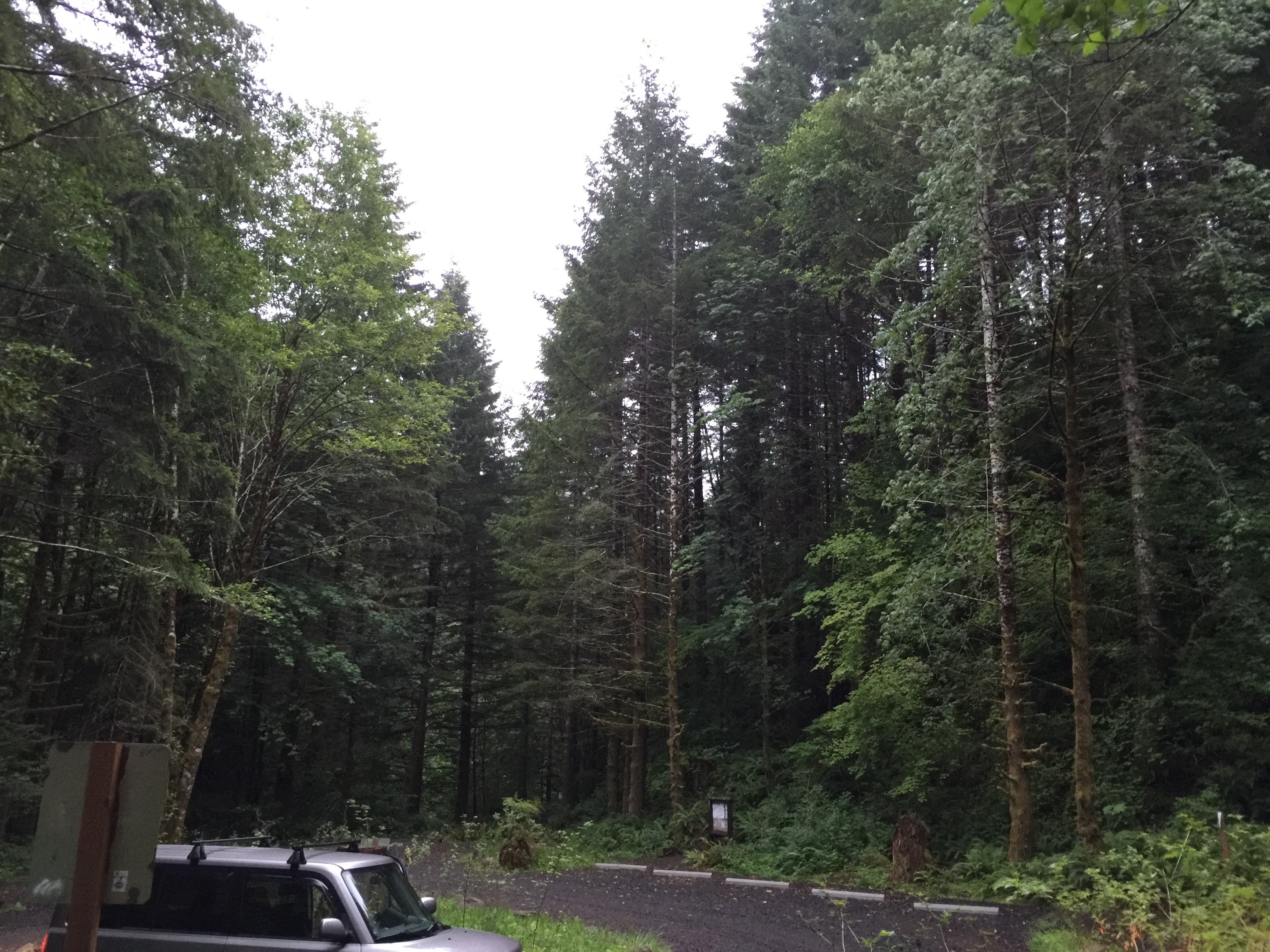 Camper submitted image from Elk Creek Campground - 2