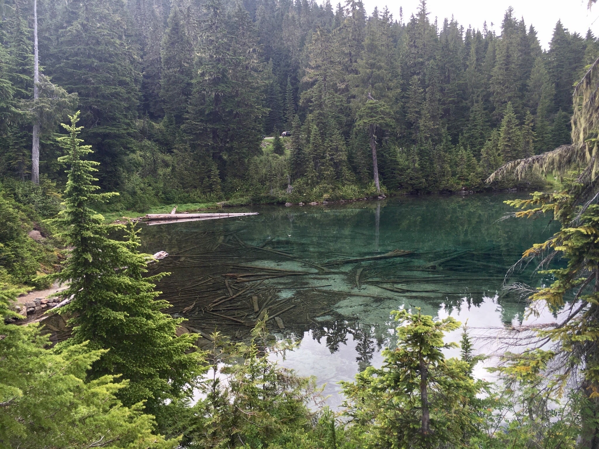 Camper submitted image from Granite Lake Dispersed Camping Area - 3
