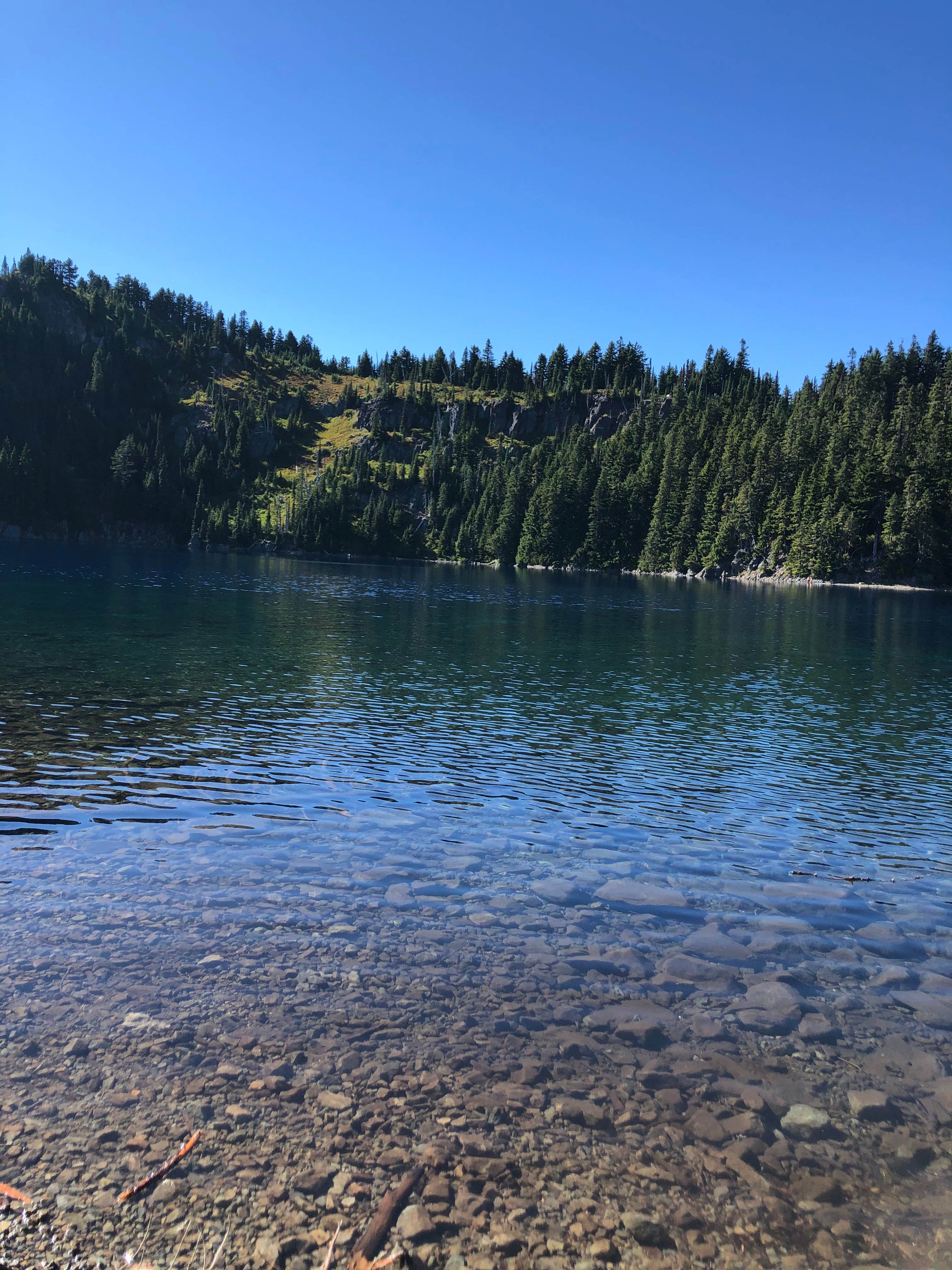 Water