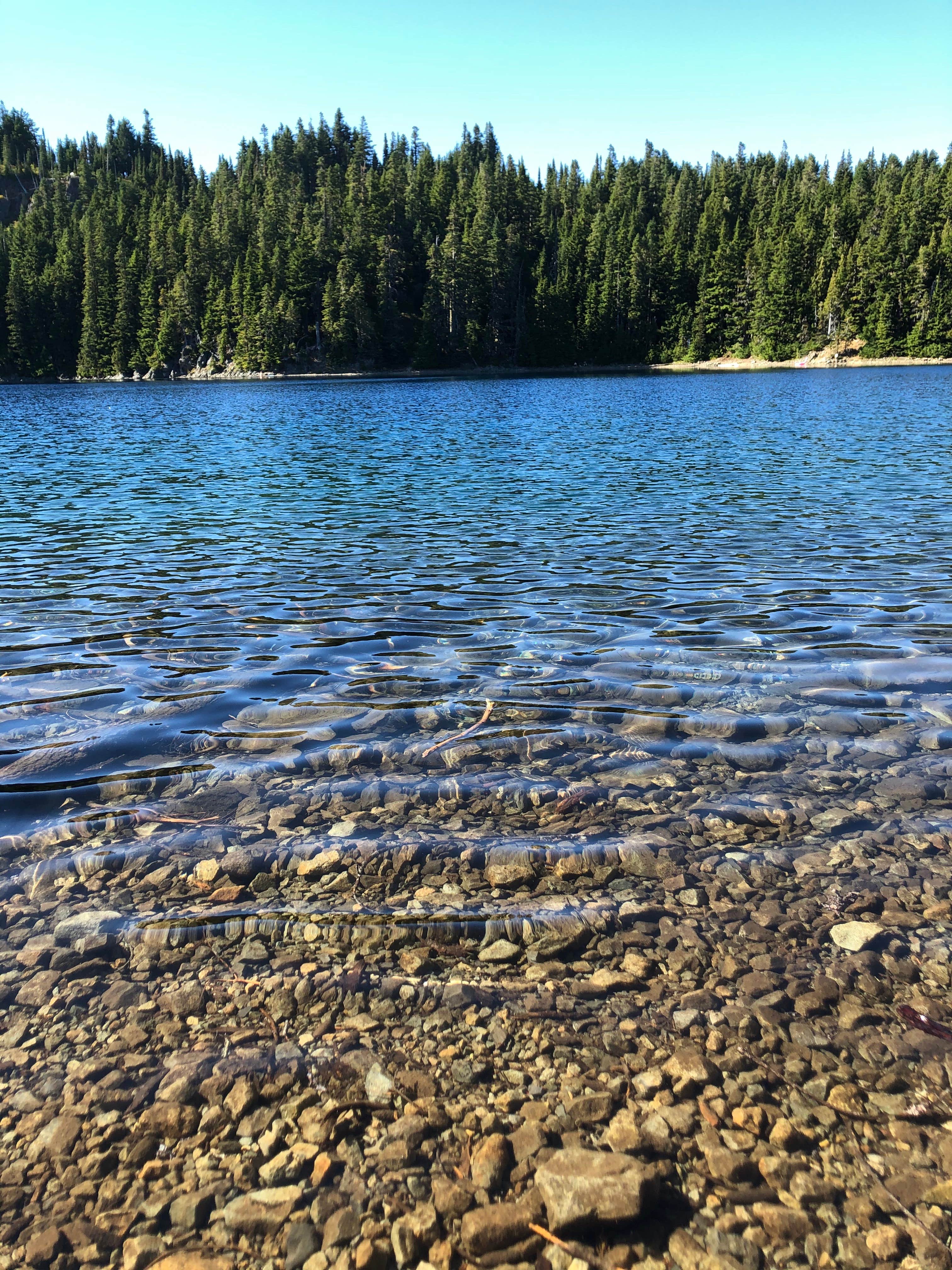 Ethan H.'s photo of a dispersed camping area at Granite Lake Dispersed Camping Area near Paradise, WA