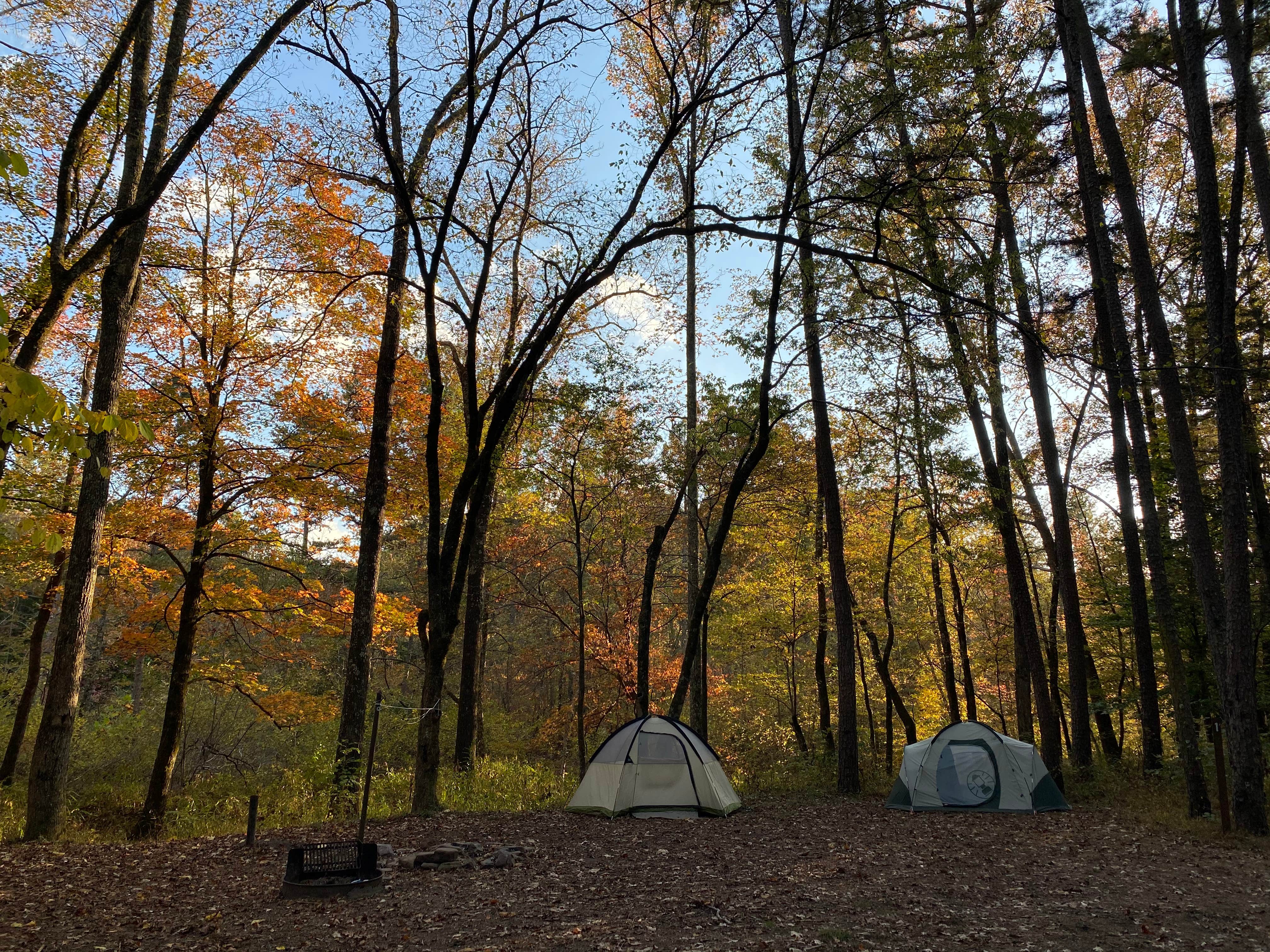 Camper submitted image from Wolf Pen Recreation Area Campground - 2