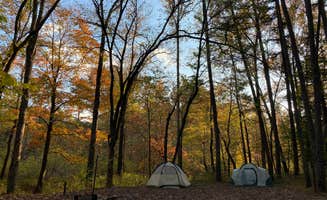 Loura P.'s photo at Wolf Pen Recreation Area Campground near Ozone, AR