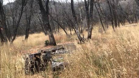 Camper-submitted photo at Maples Campground - Dispersed Camping Only near Mantua, UT