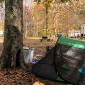 Review photo of Paynetown Campground by Margo B., October 27, 2020