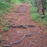 Review photo of Ransburg Scout Reservation by Margo B., October 27, 2020