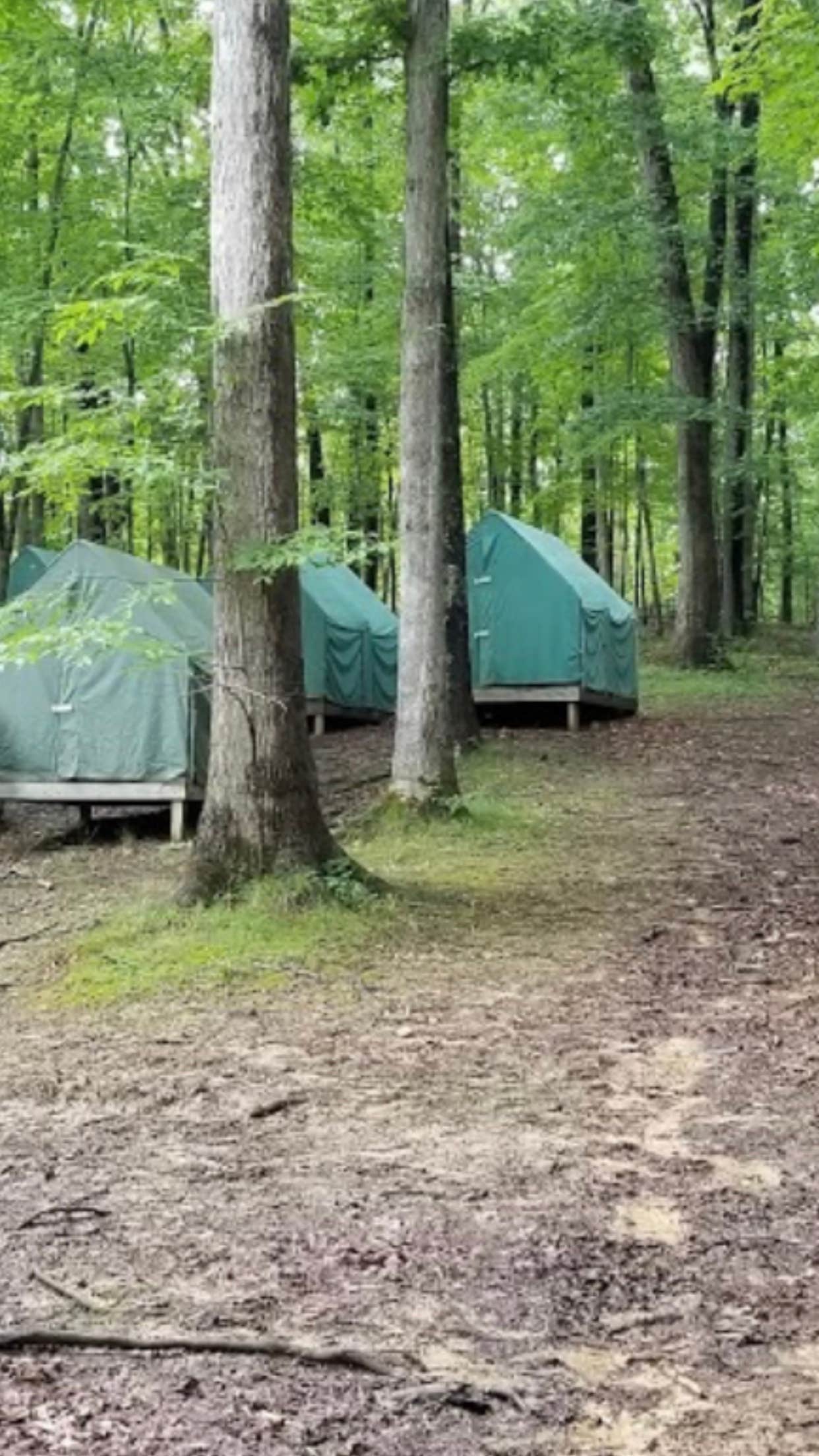 Camper-submitted photo at Ransburg Scout Reservation near Mitchell, IN