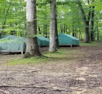 Camper-submitted photo from Ransburg Scout Reservation