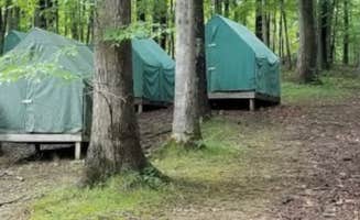 Margo B.'s photo of tent camping at Ransburg Scout Reservation near Trafalgar, IN
