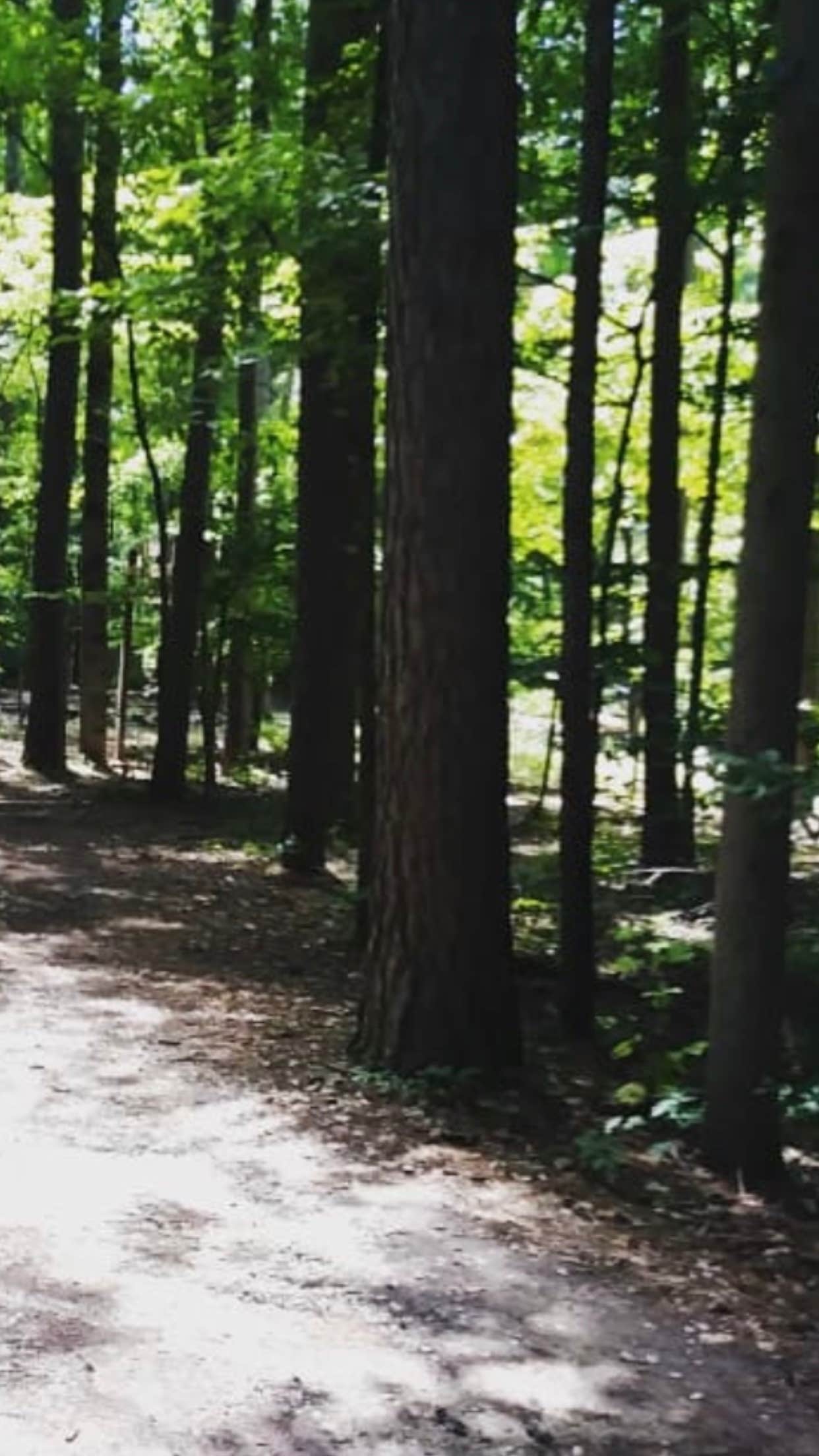 Camper-submitted photo at Ransburg Scout Reservation near Mitchell, IN