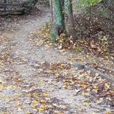 Review photo of Brown County State Park Campground by Margo B., October 27, 2020