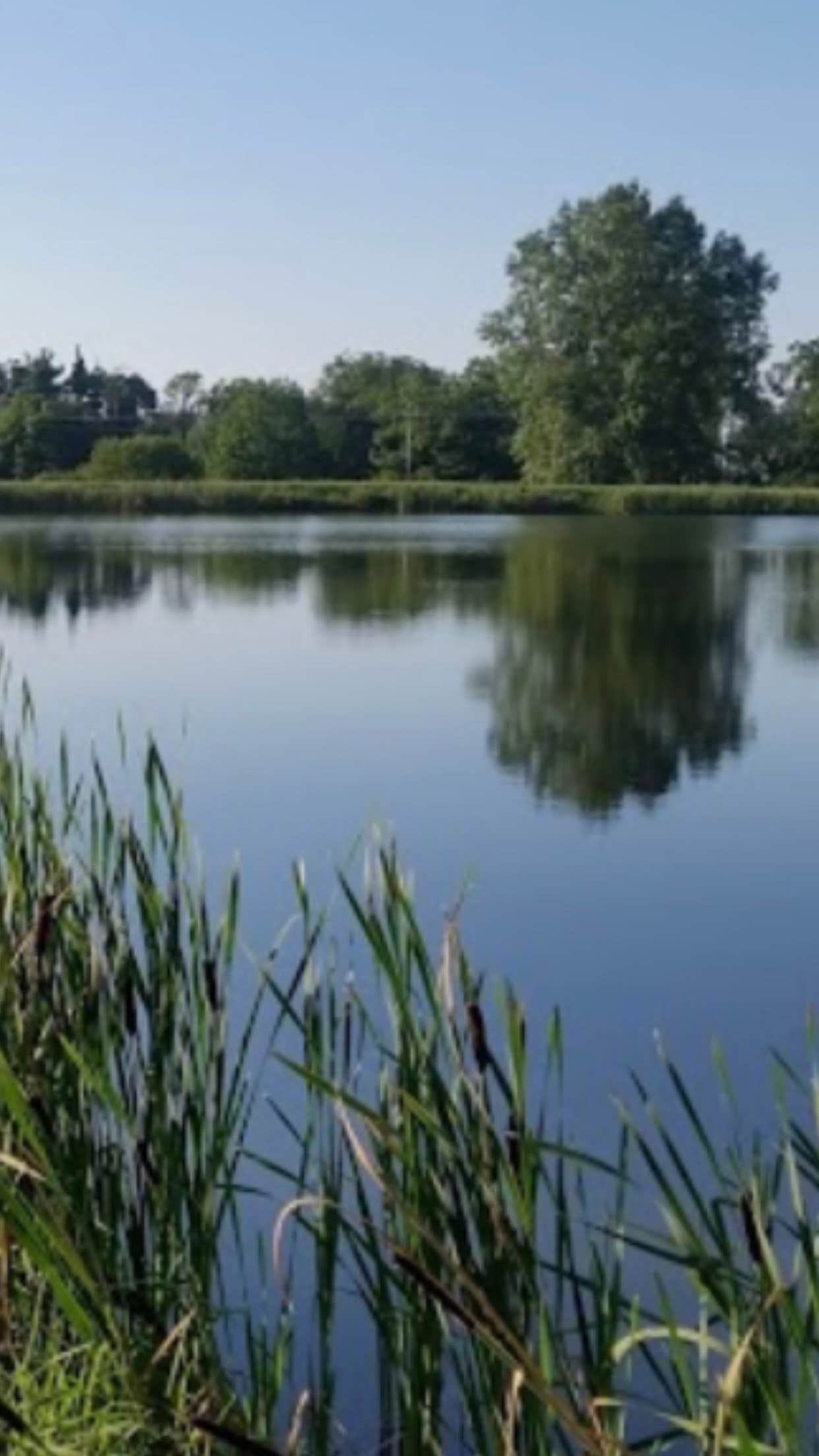 Camper-submitted photo at Kamp Modoc near Union City, OH