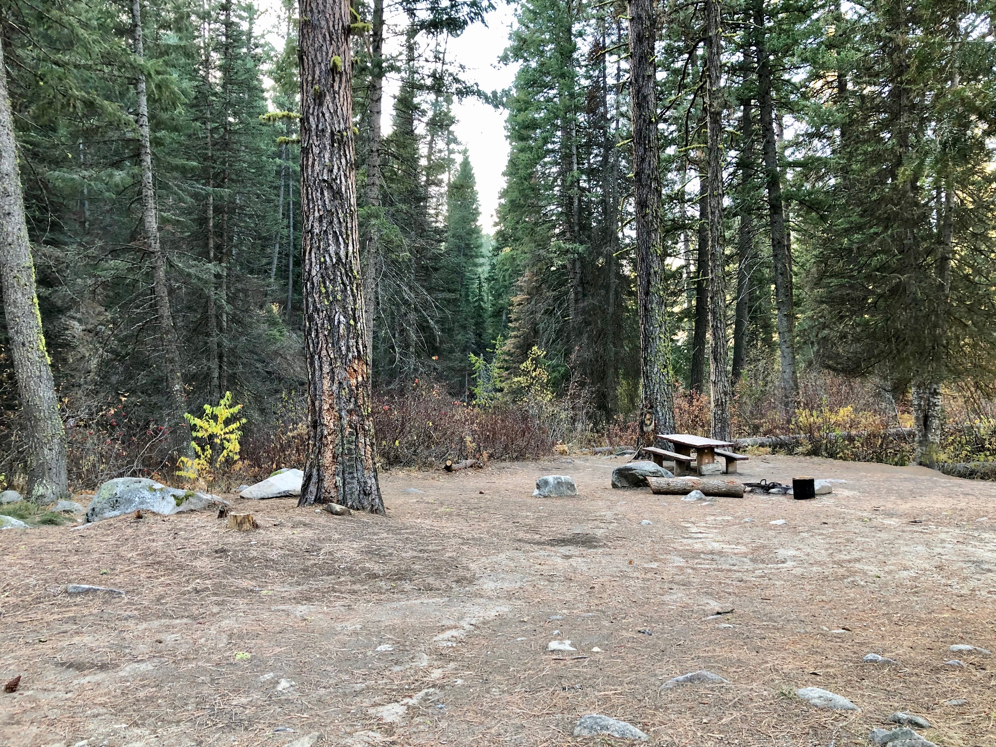 Camper submitted image from Ten Mile Campground - 2