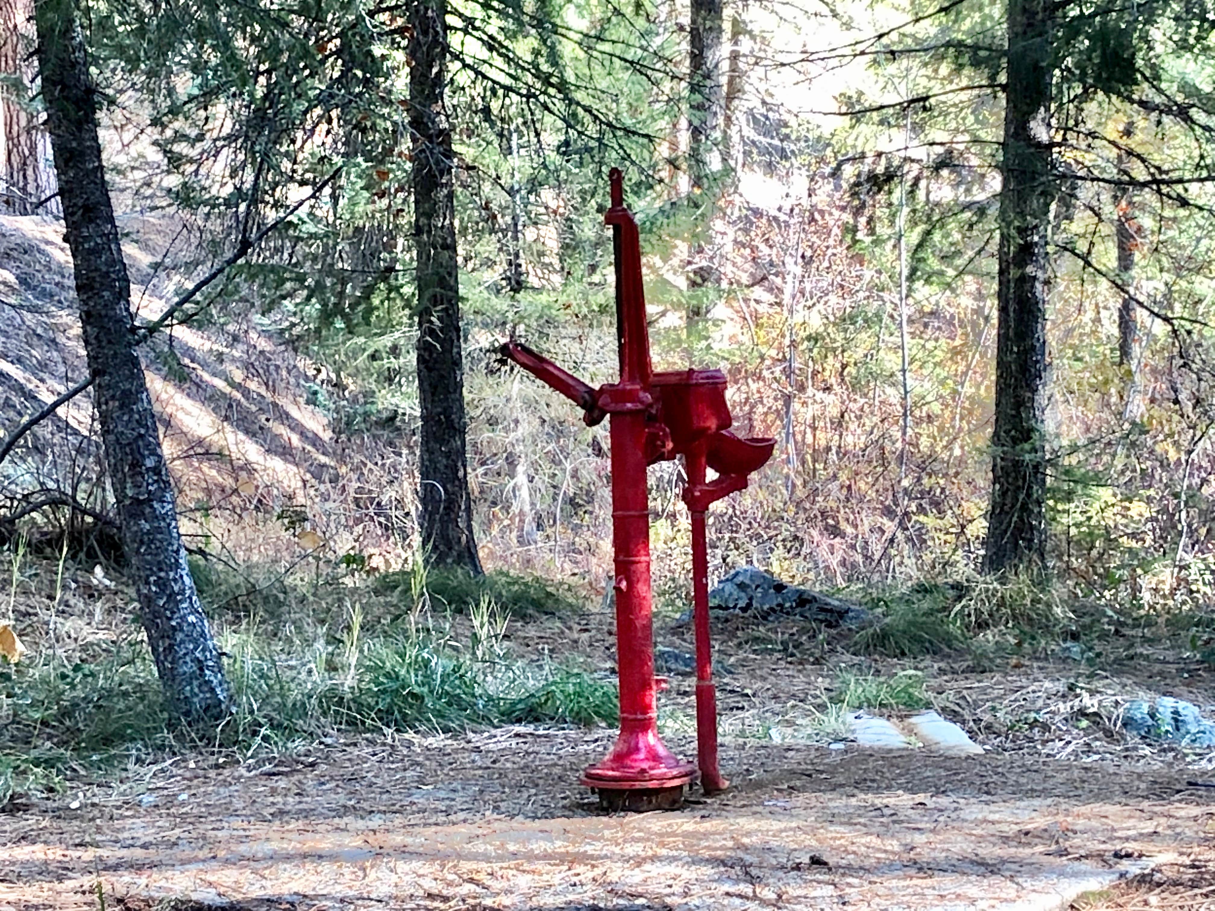 Camper submitted image from Ten Mile Campground - 5