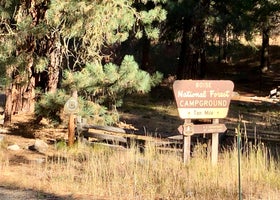 Ten Mile Campground