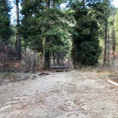 Review photo of Hayfork Group Campground by Amy S., October 31, 2020