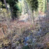 Review photo of Hayfork Group Campground by Amy S., October 31, 2020