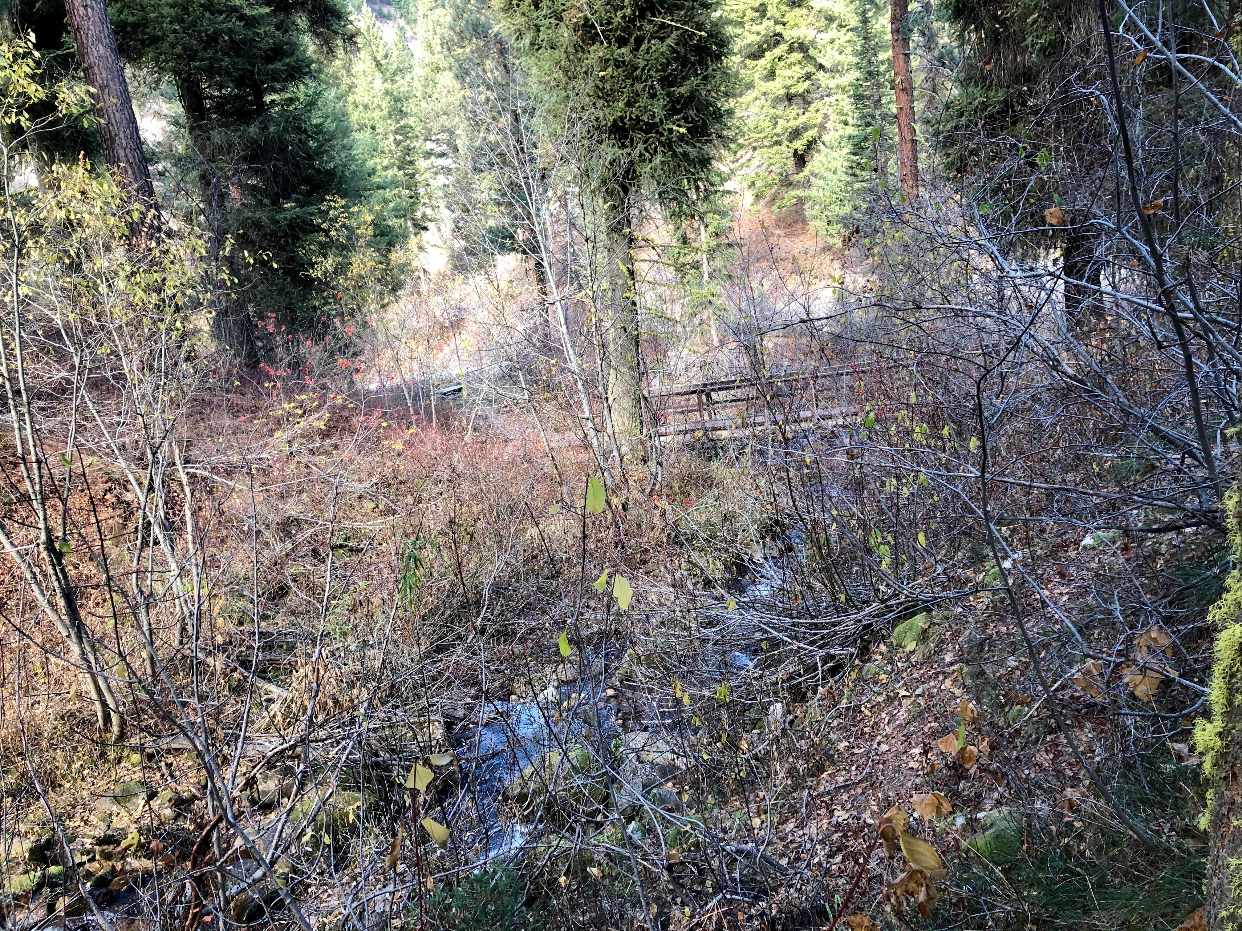 Camper submitted image from Hayfork Group Campground - 5