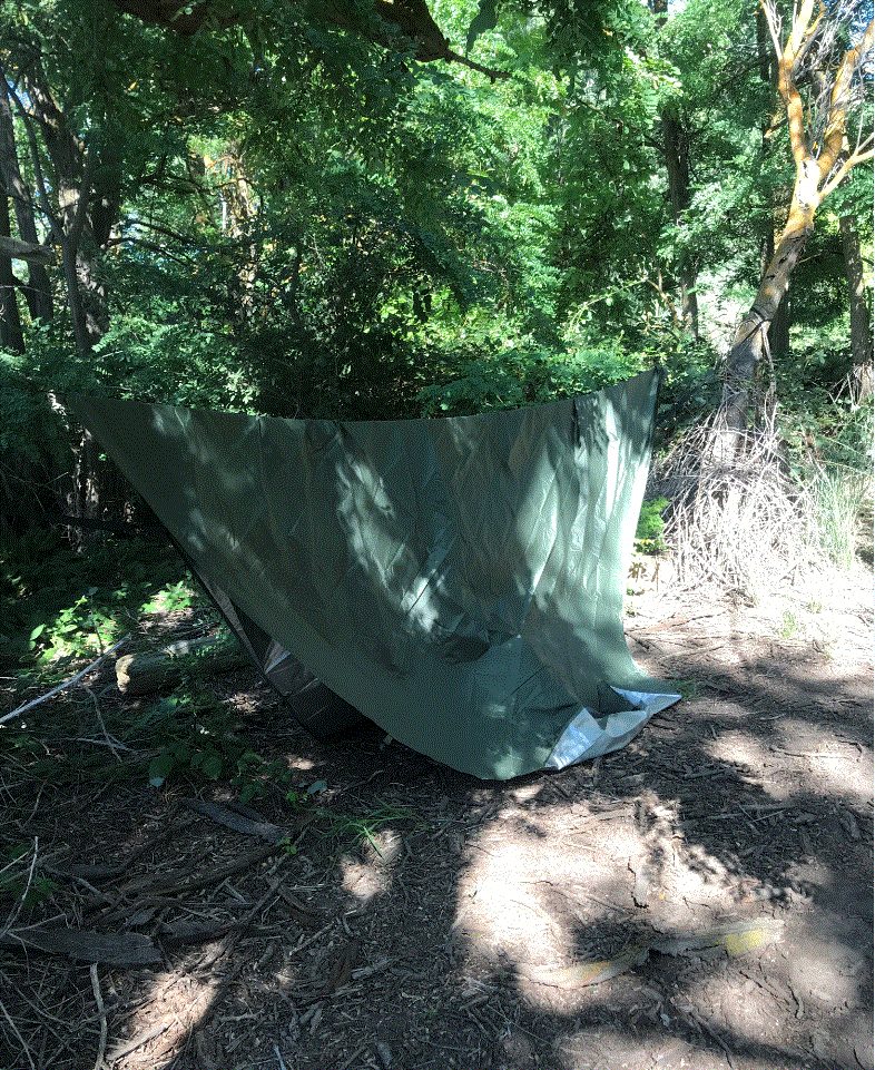 Camping near Nez Perce National Forest CCC Campground: Tingley Spring - BLM, St. Maries, Idaho