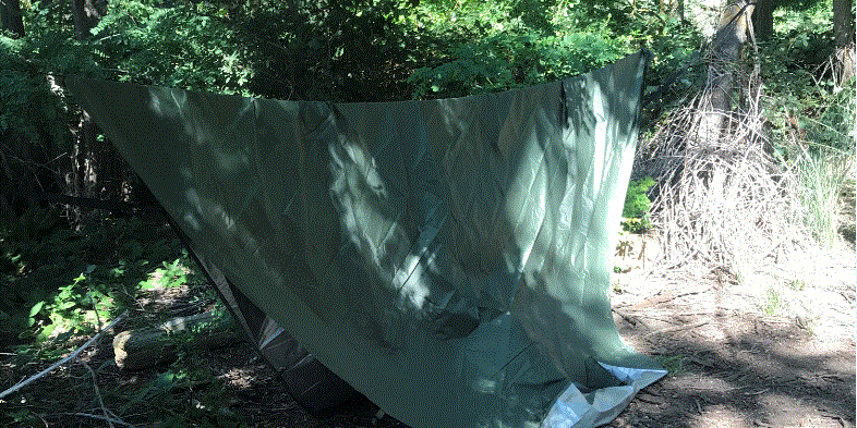 Camper submitted image from Tingley Spring - BLM