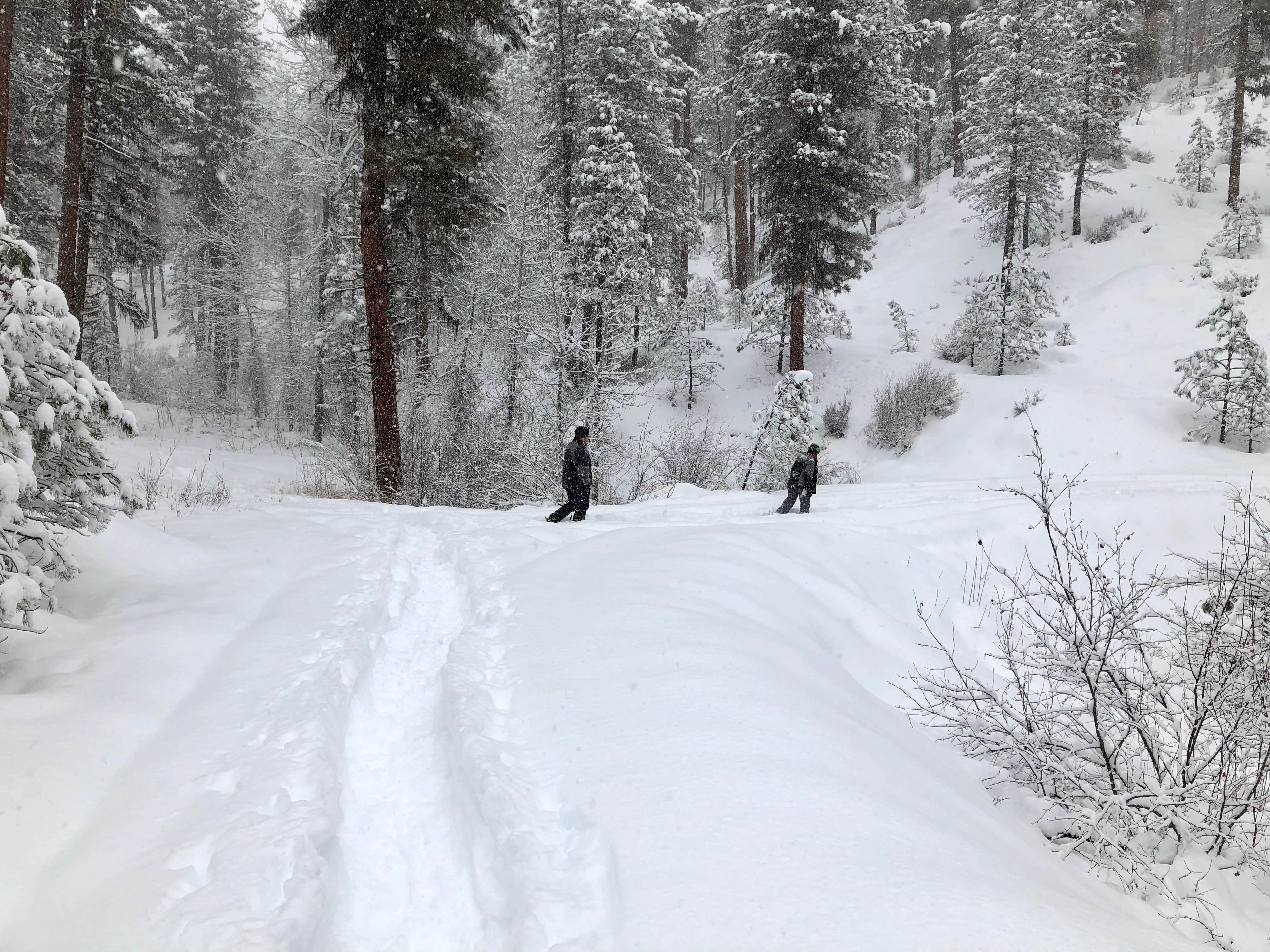 Saddle Up for Adventure: Idaho's Whoop-em-Up Equestrian Campground