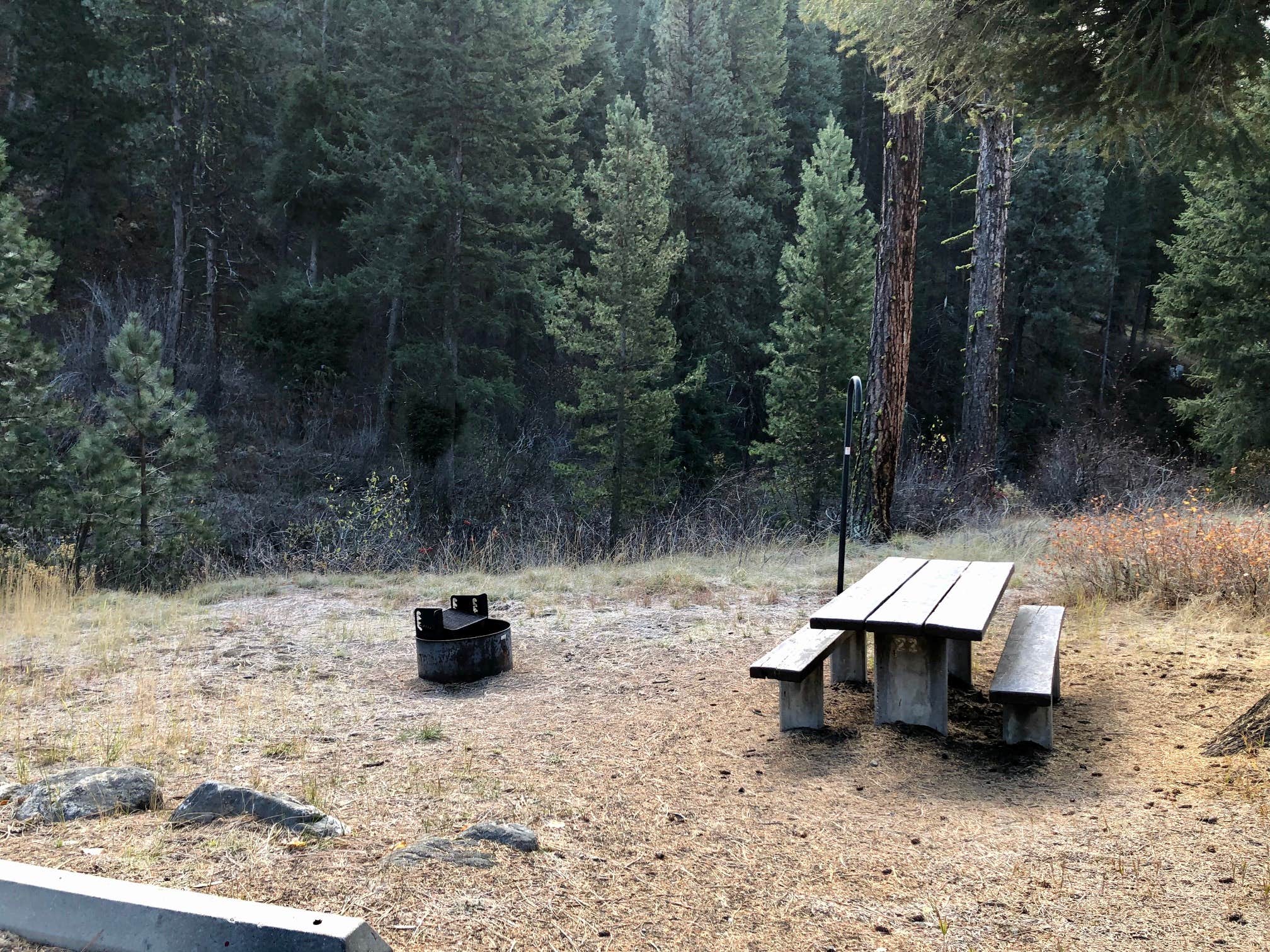 Camper submitted image from Boise National Forest Bad Bear Campground - 4
