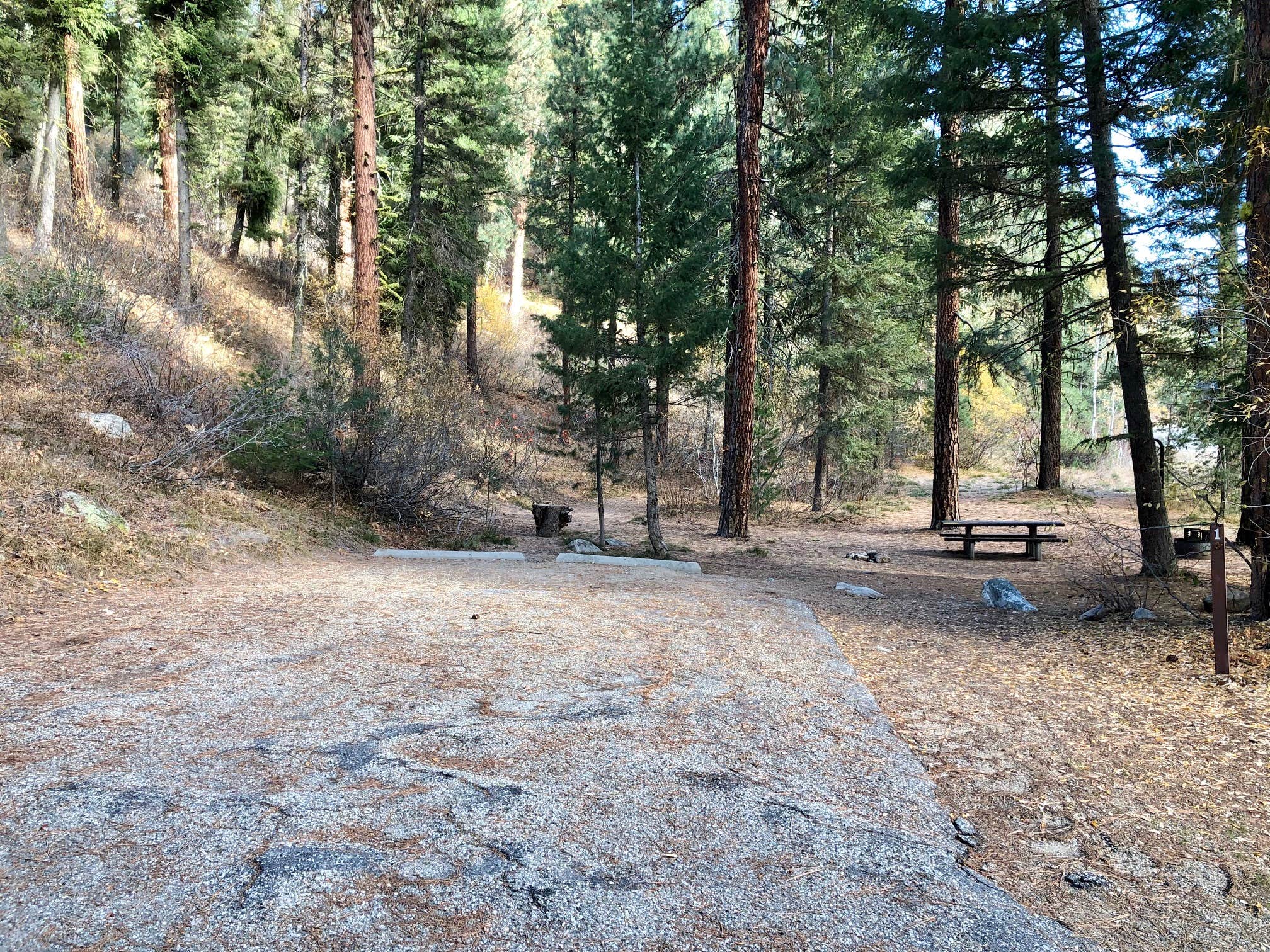 Camper submitted image from Boise National Forest Bad Bear Campground - 3