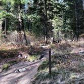 Review photo of Boise National Forest Bad Bear Campground by Amy S., October 31, 2020