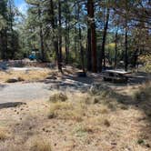 Review photo of White Spar Campground by Chris P., October 31, 2020