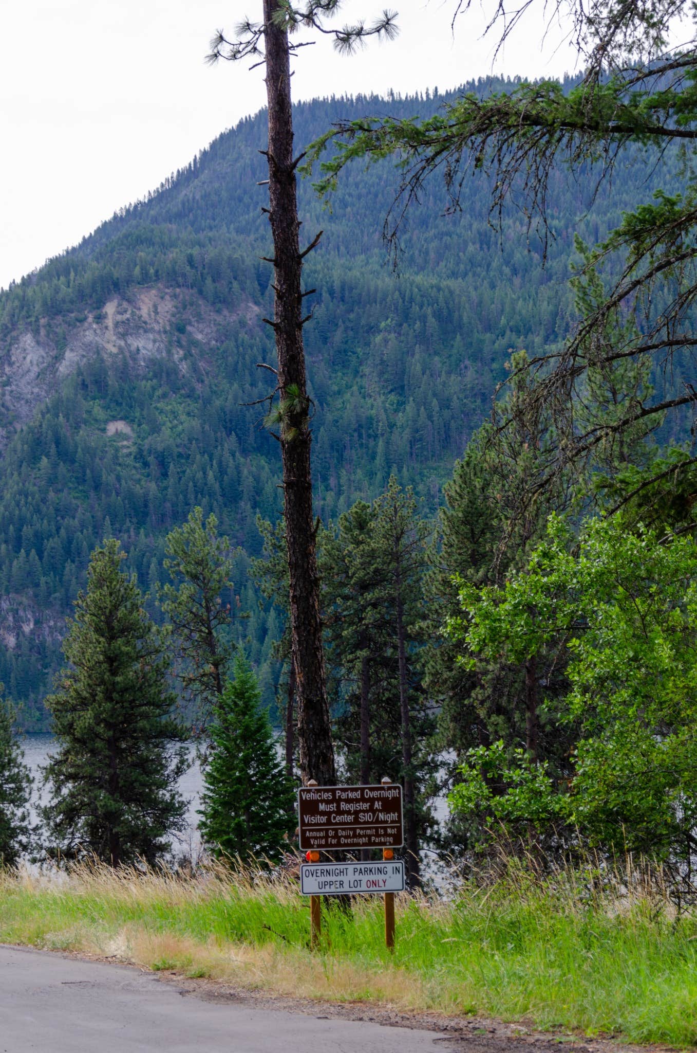 Camper-submitted photo at Whitetail Campground — Farragut State Park near Cocolalla, ID