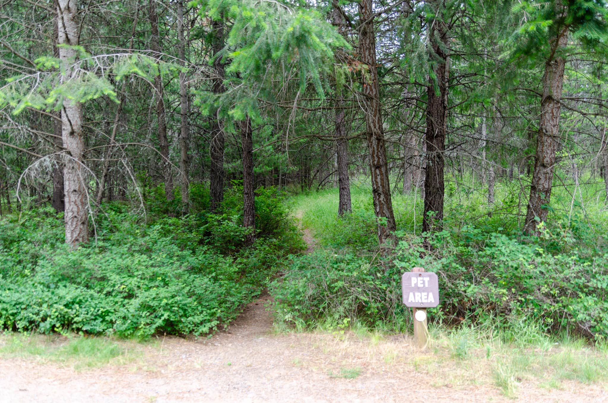 Camper-submitted photo at Whitetail Campground — Farragut State Park near Cocolalla, ID