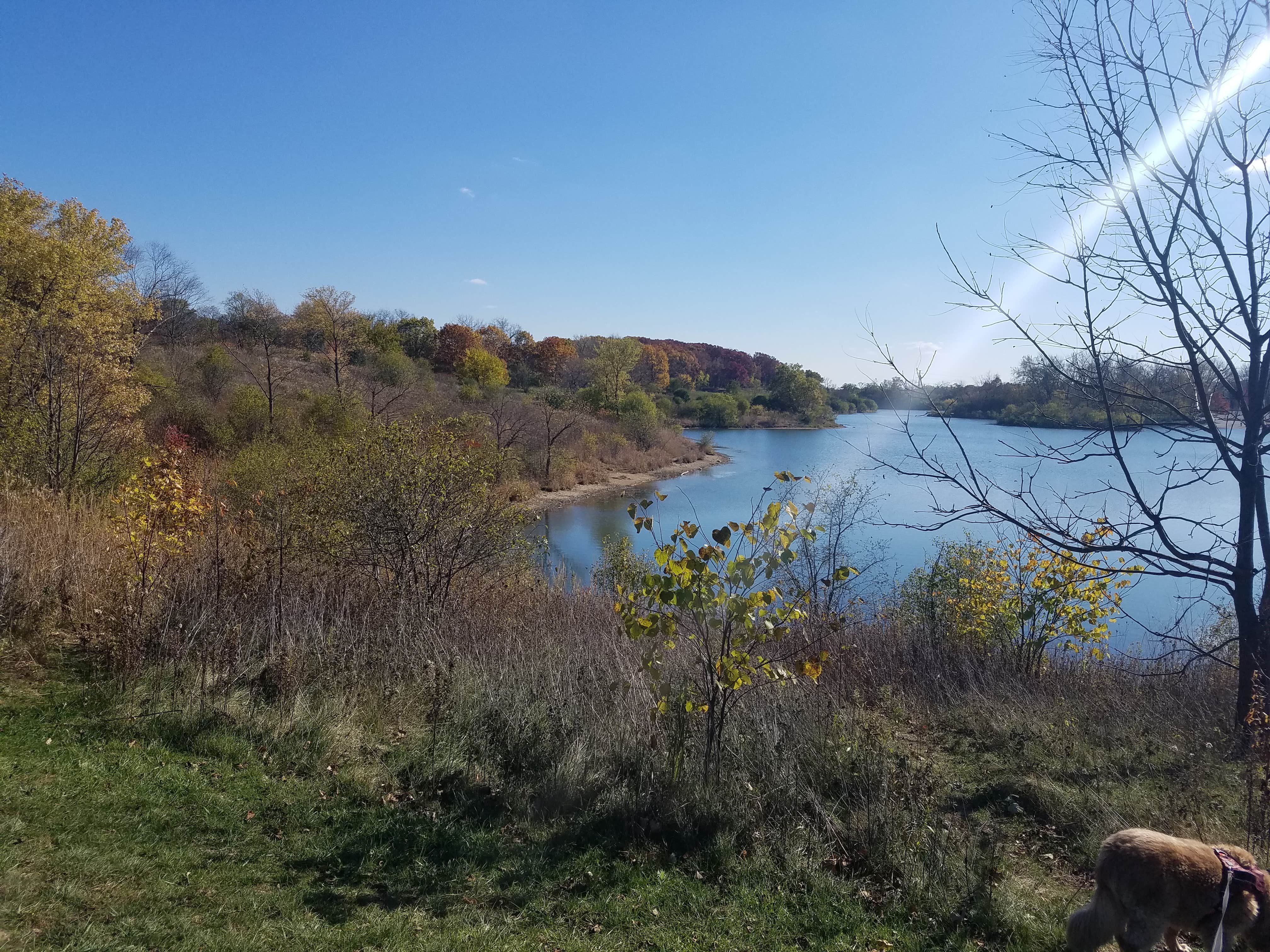 Camper-submitted photo at Blackwell Family Campground near Romeoville, IL