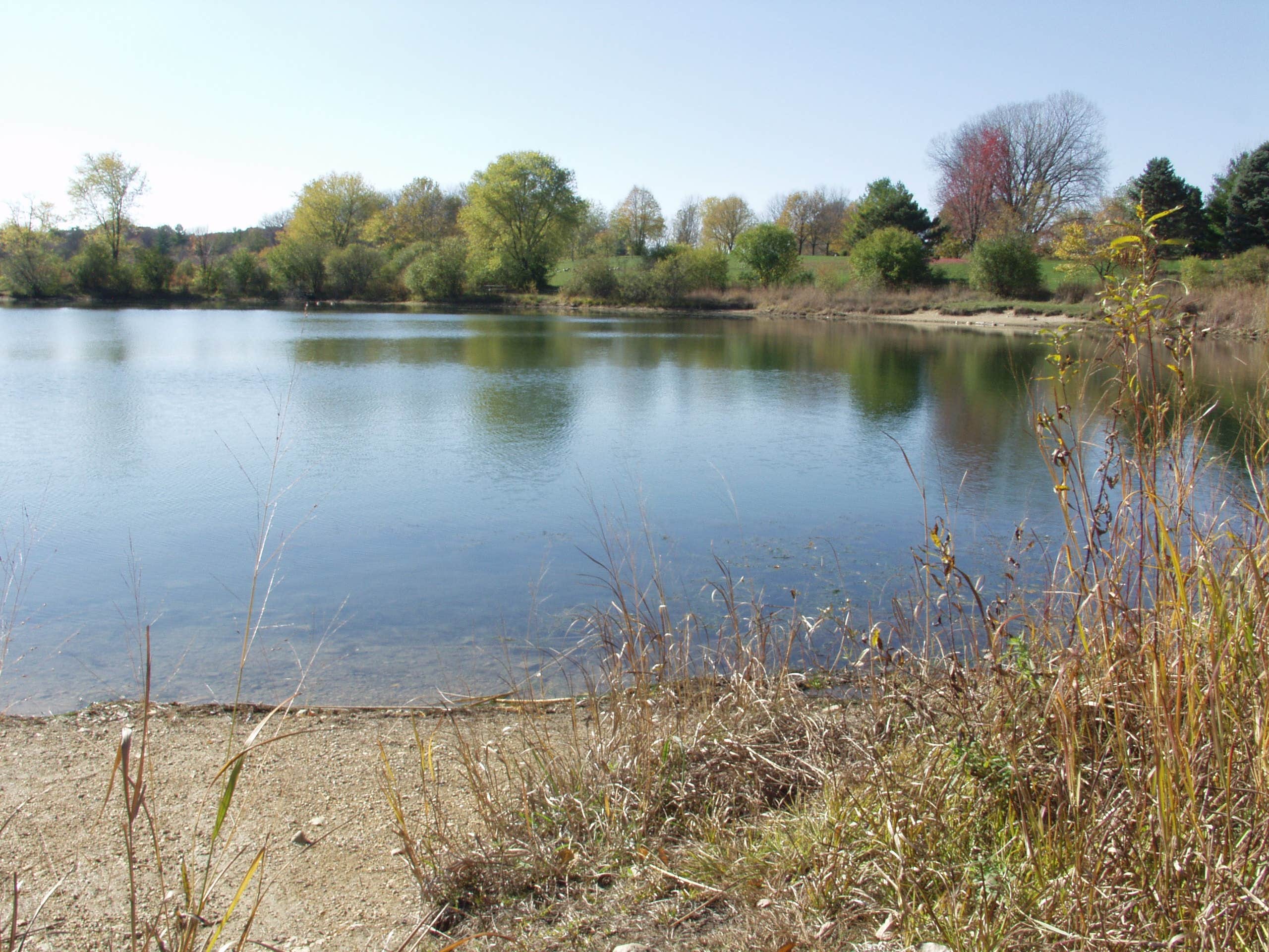 Blackwell Family Campground The Dyrt