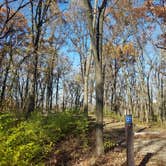 Review photo of Blackwell Family Campground by Marisa A., October 31, 2020