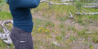 Camper submitted image from Mammoth Springs Campground