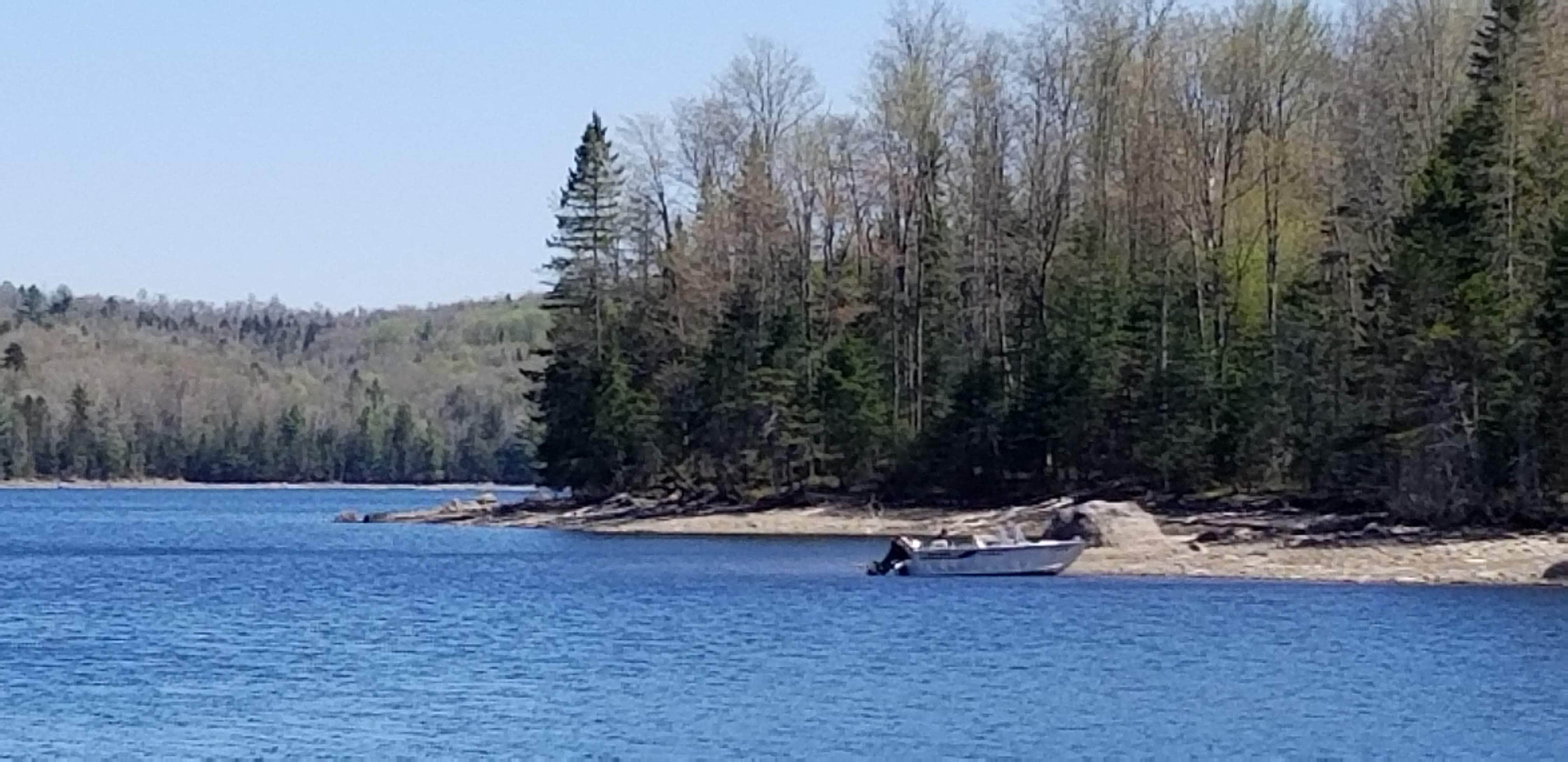 Camper submitted image from Molly’s Falls Pond State Park Campground (Remote Hike In Sites) - 1