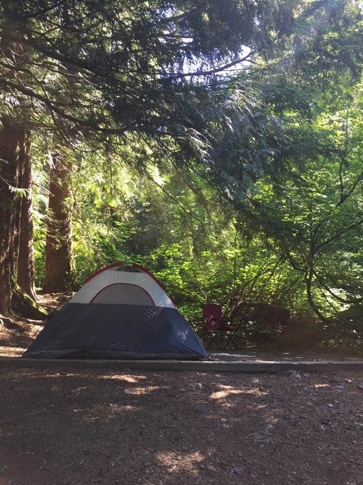 Camper submitted image from Denny Creek Campground - 5