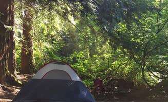 Cheryl G.'s photo at Denny Creek Campground near Snoqualmie Pass, WA